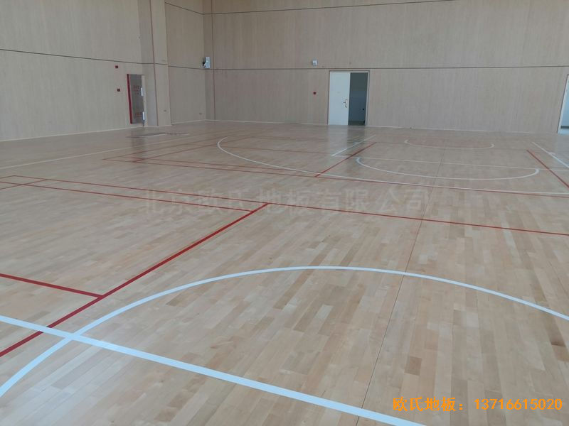 �V����혴���FӢ�ЌW(xu��)�\��ľ�ذ尲�b����