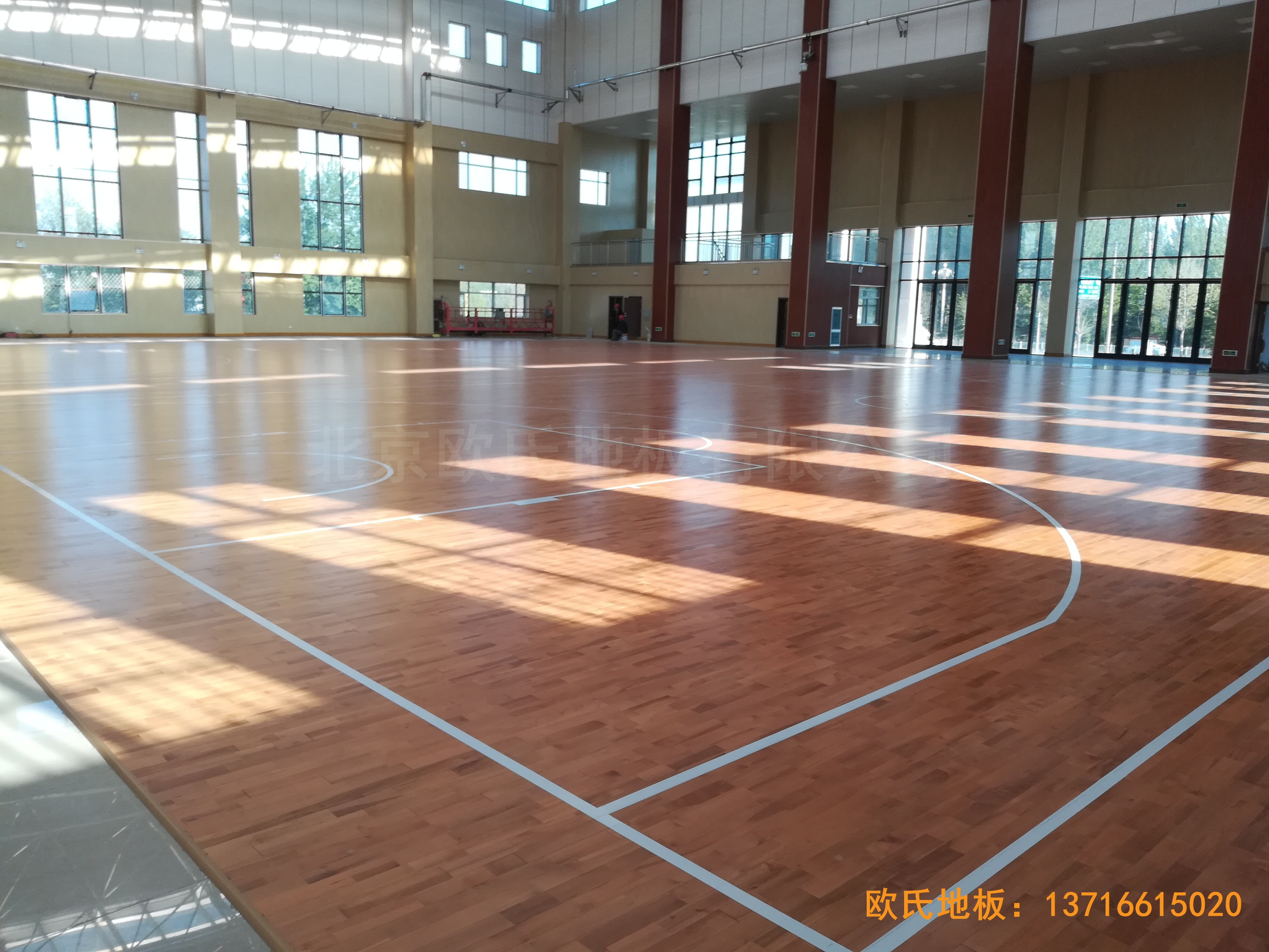 �R���w�������w���ذ���O����5