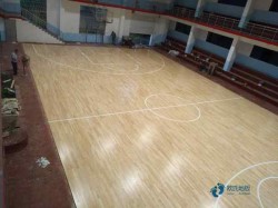 ��ľ�w���@��ľ�ذ���Ҫ�����X