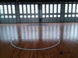 ���Ռ������_(t��i)�w����(ch��ng)ľ�ذ��Ă�(g��)���ӵĺ�