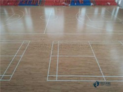 ���ݵ��\���w���ذ�S�҈�r