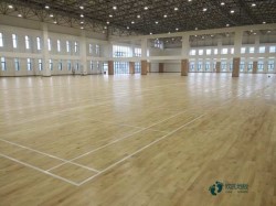 �҃�(n��i)�\(y��n)��(d��ng)��(ch��ng)��ľ�ذ�ʩ���(du��)