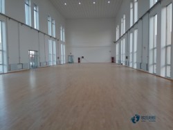 ���I(y��)�@����^ľ�ذ�ʩ���F�